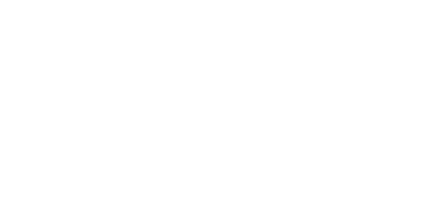Littium